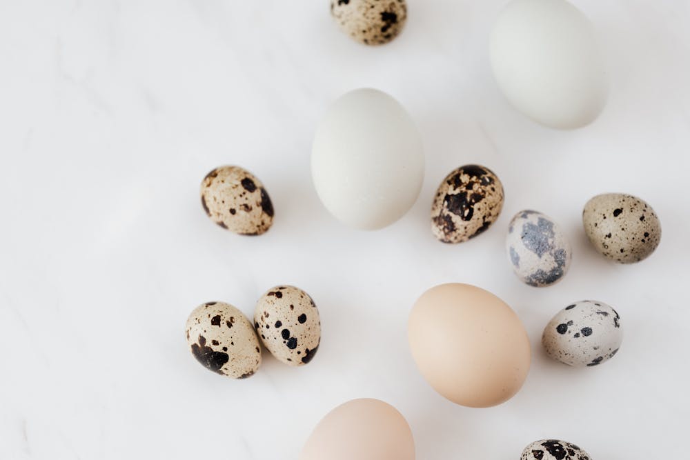 Protein Power: My Favorite Sources and Recipes
