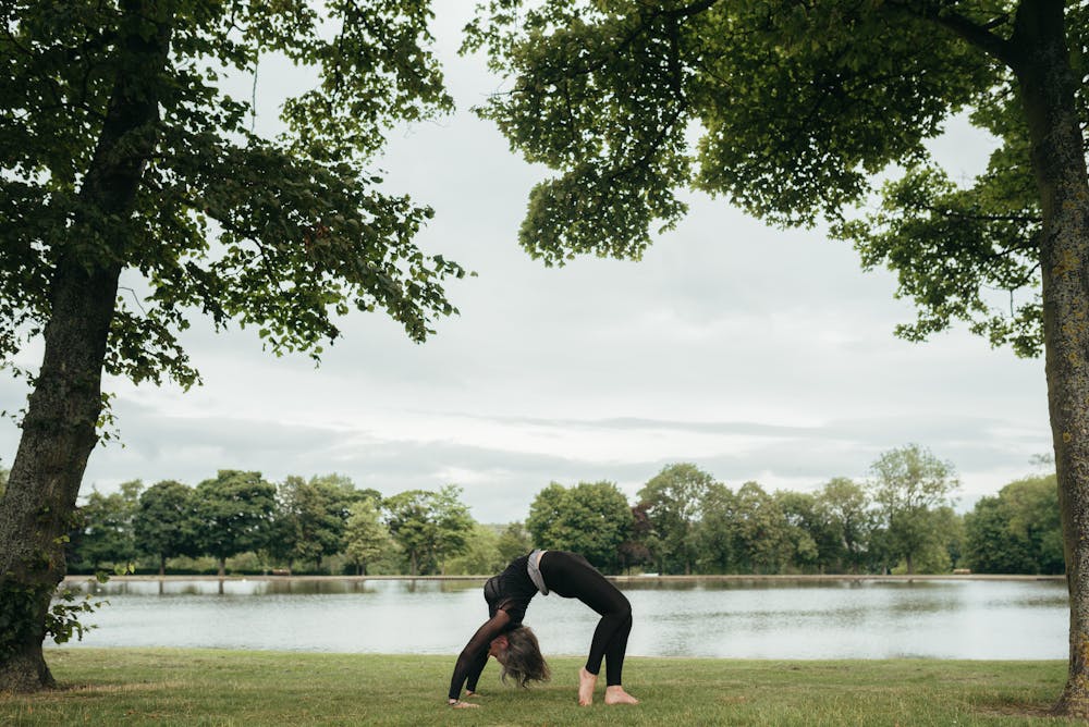 Healthy Aging Strategies: Tips for Maintaining Vitality and Wellness as We Grow Older