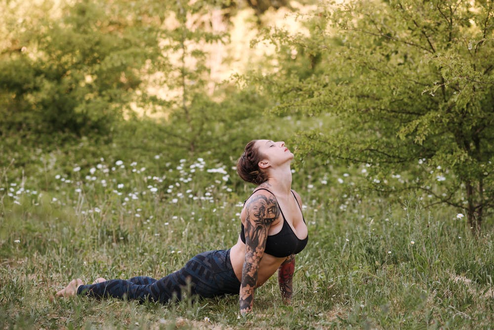 Healthy Aging Strategies: Tips for Maintaining Vitality and Wellness as We Grow Older